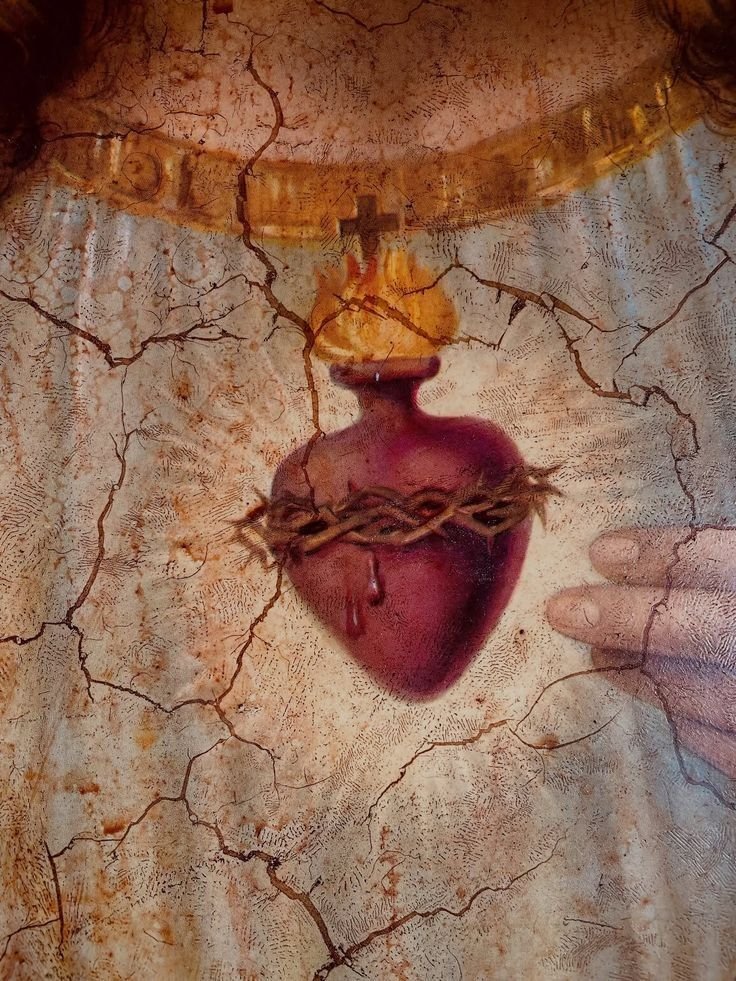 A devoção ao Sagrado Coração de Jesus