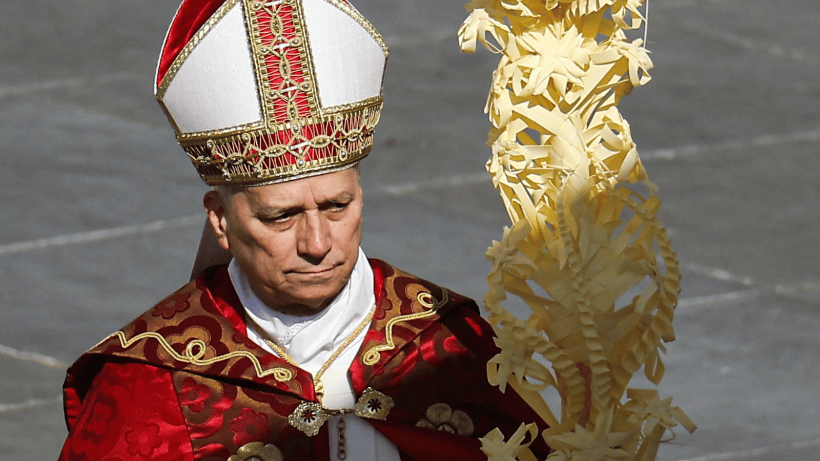 DOMINGO DE RAMOS: O REI DA PAZ VEM AO NOSSO ENCONTRO